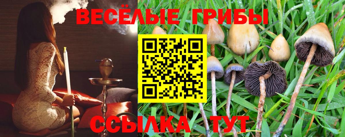 Псилоцибиновые грибы мухоморы  Вход с VPN  Галлюциногенные грибы GOLDEN TEACHER  Михайловск 